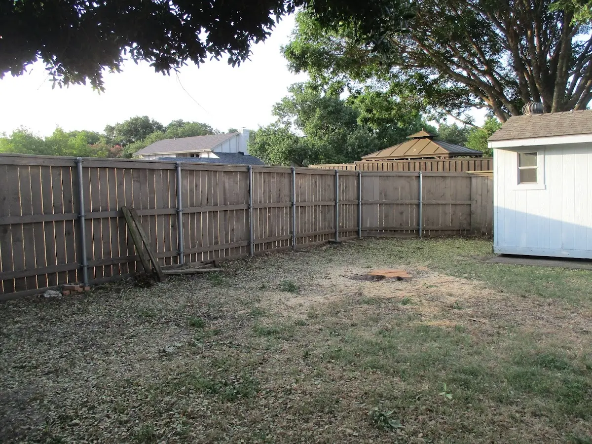 Cleared yard after professional tree removal in Mastic Beach