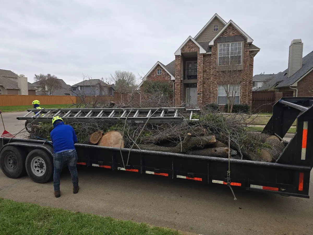 Expert Tree Fertilization with proper safety equipment in Mastic Beach